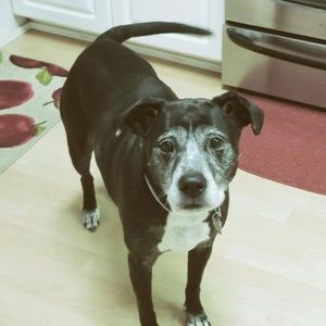 Meet your Posher, April